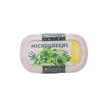RAMGO Microgreens Kit Sunflower Aura Shine