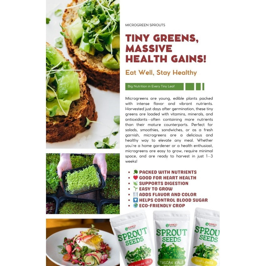 RAMGO Sprout Seeds Kale Tuscan Green