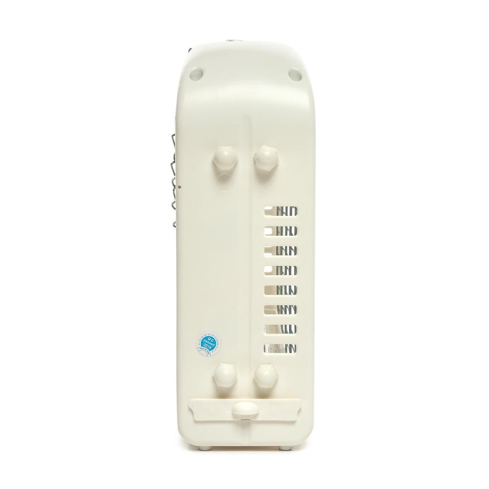 DAIMARU Insect Killer (BT-2X10W)