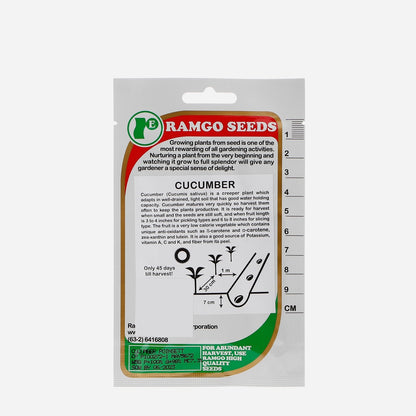 RAMGO Cucumber Poinsett Seeds