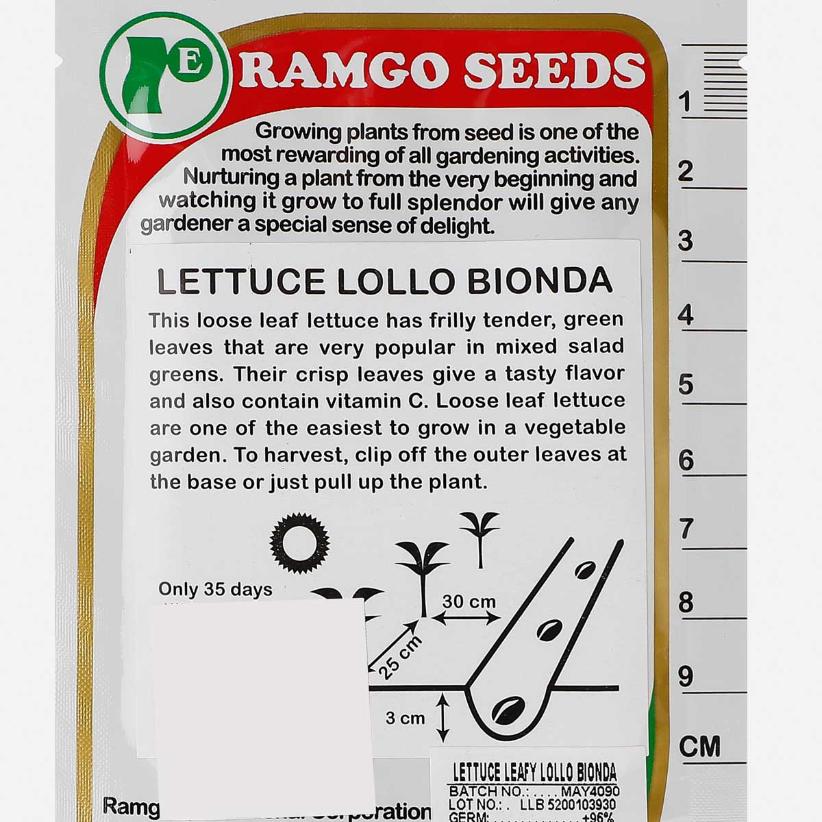 RAMGO Lettuce Leafy Lollo Bionda Seeds