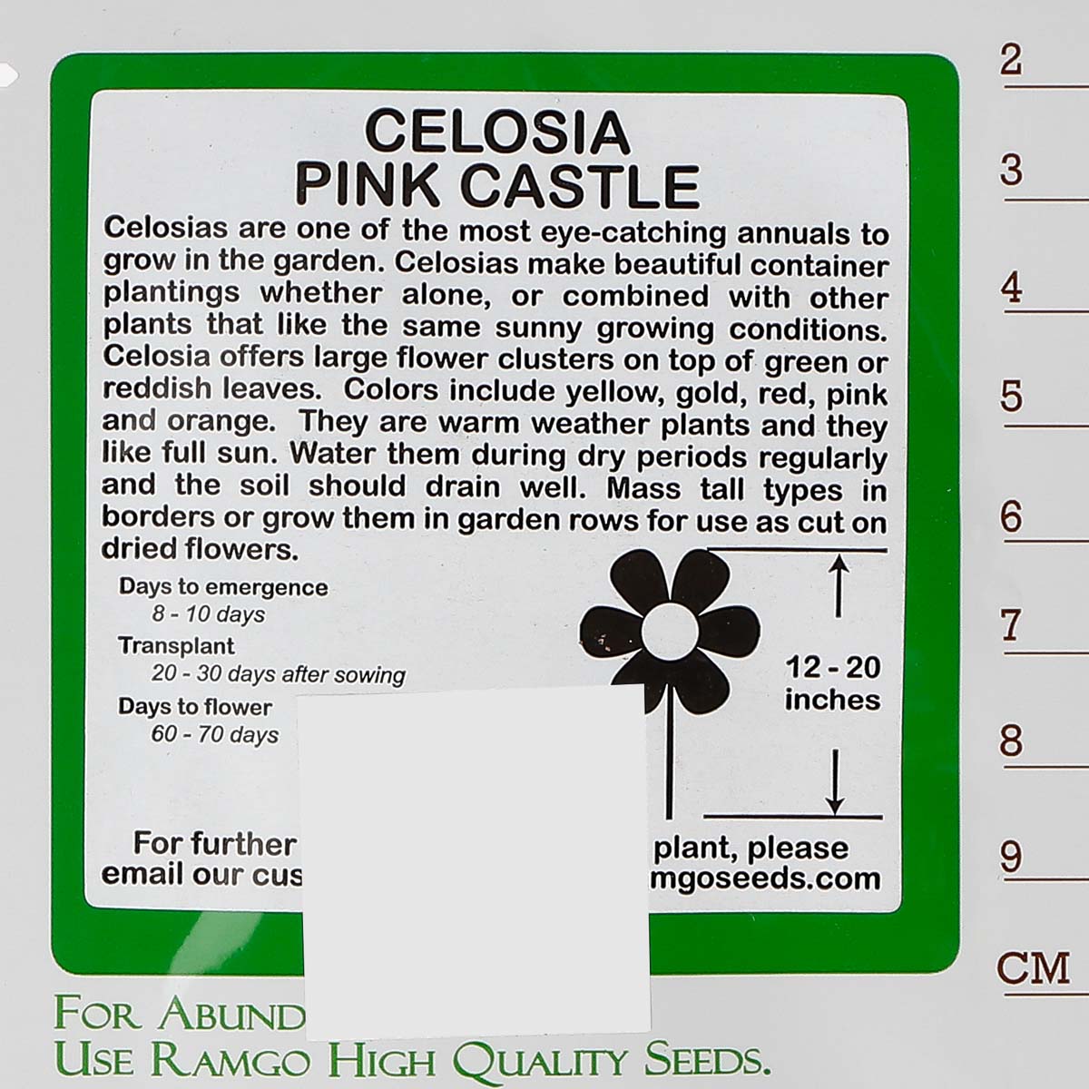RAMGO Celosia Castle Pink Seeds