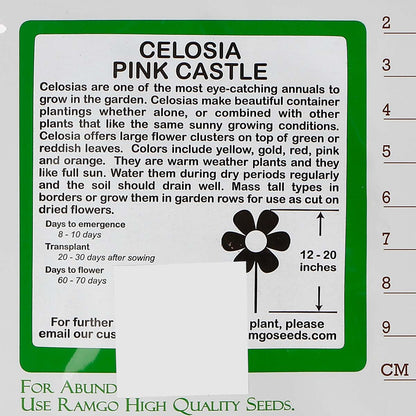 RAMGO Celosia Castle Pink Seeds