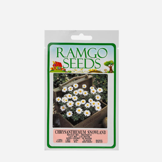 RAMGO Chrysanthemum Snowland Seeds