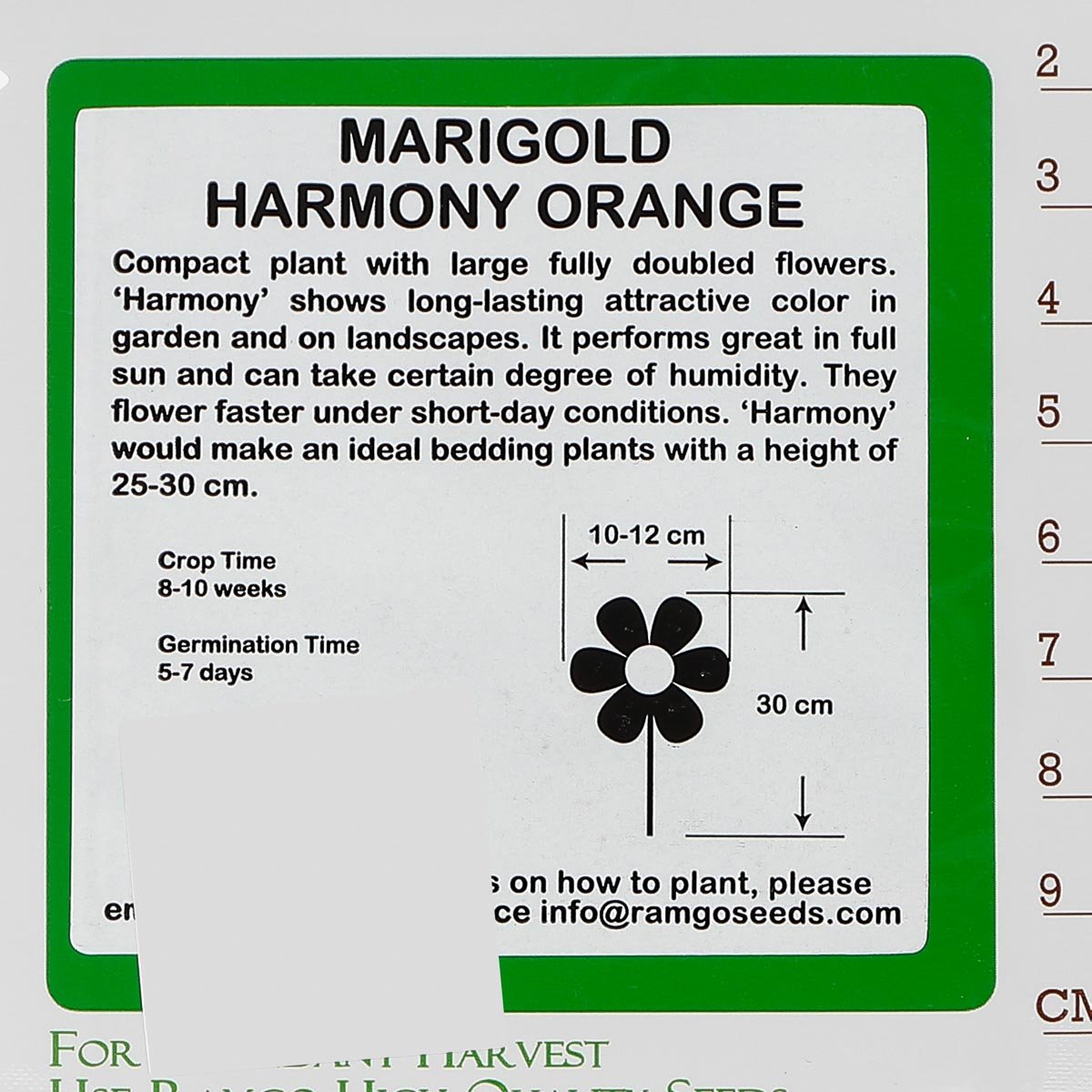 RAMGO Marigold Hybrid Harmony Orange Seeds