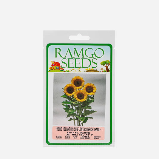 RAMGO Hybrid Helianthus Sunflower Sunrich Seeds - Orange