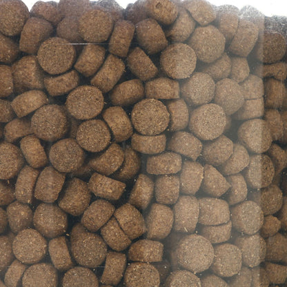 PET ONE 1KL Gourmet In Pail Dog Food - Beef Steak