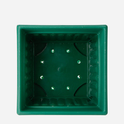 RAMGO Ionic Square Pot and Saucer - Green