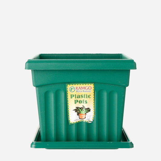 RAMGO Ionic Square Pot and Saucer - Green