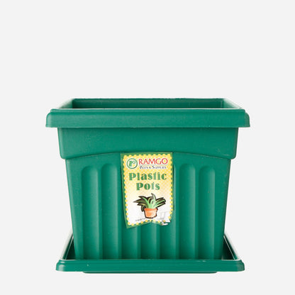 RAMGO Ionic Square Pot and Saucer - Green