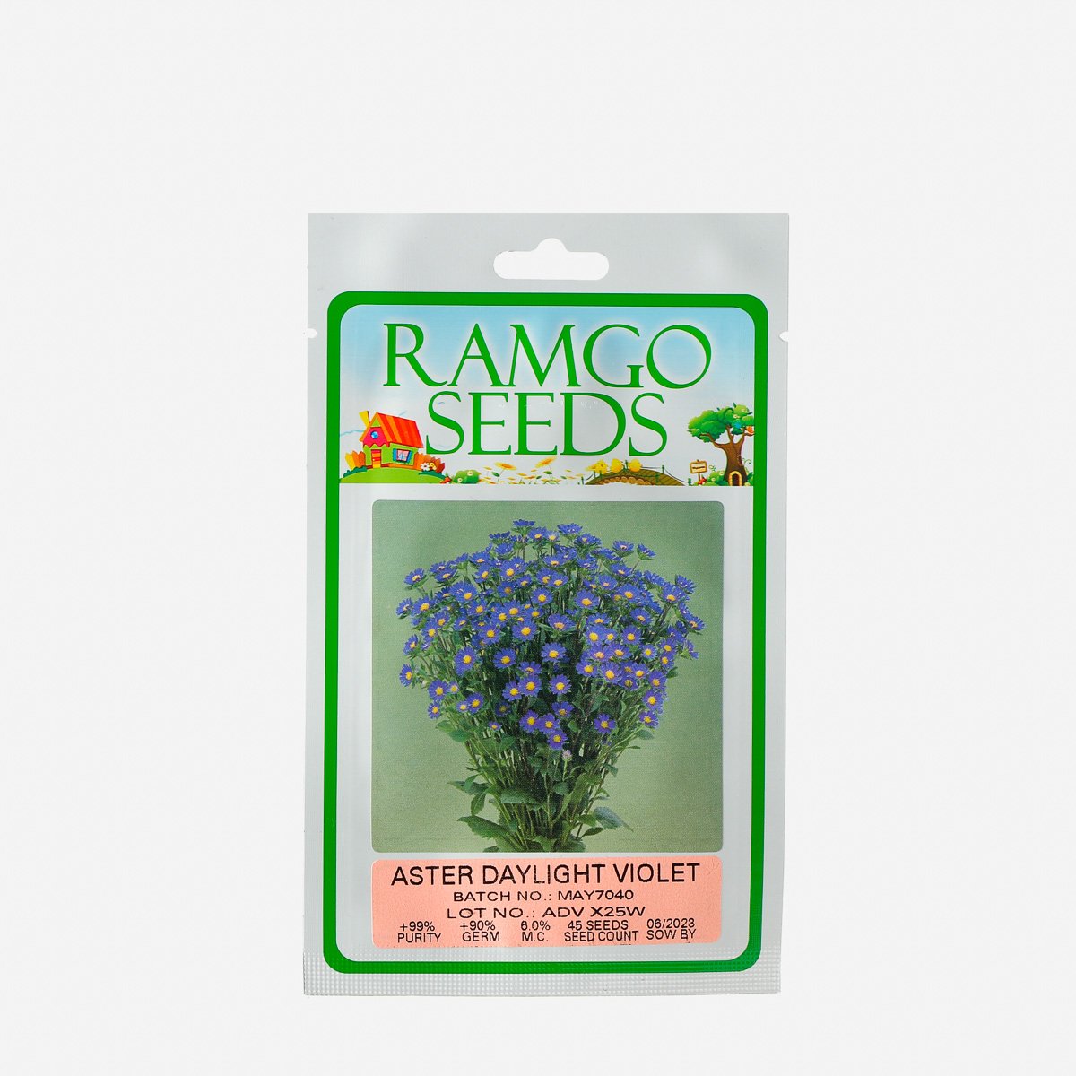 RAMGO Aster Daylight Violet Seeds