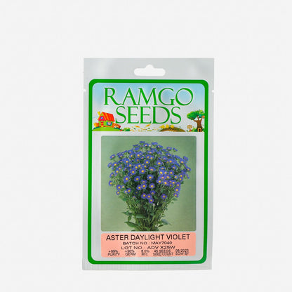 RAMGO Aster Daylight Violet Seeds