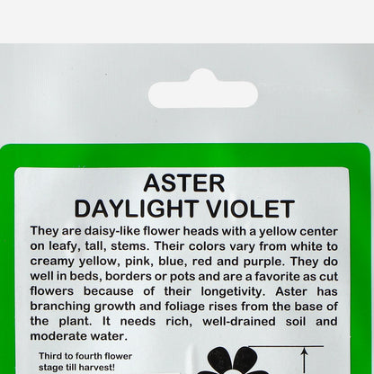 RAMGO Aster Daylight Violet Seeds