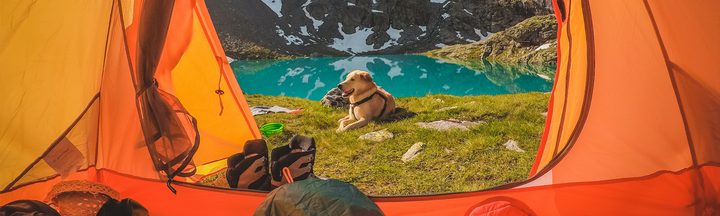 Camping & Outdoor Equipment