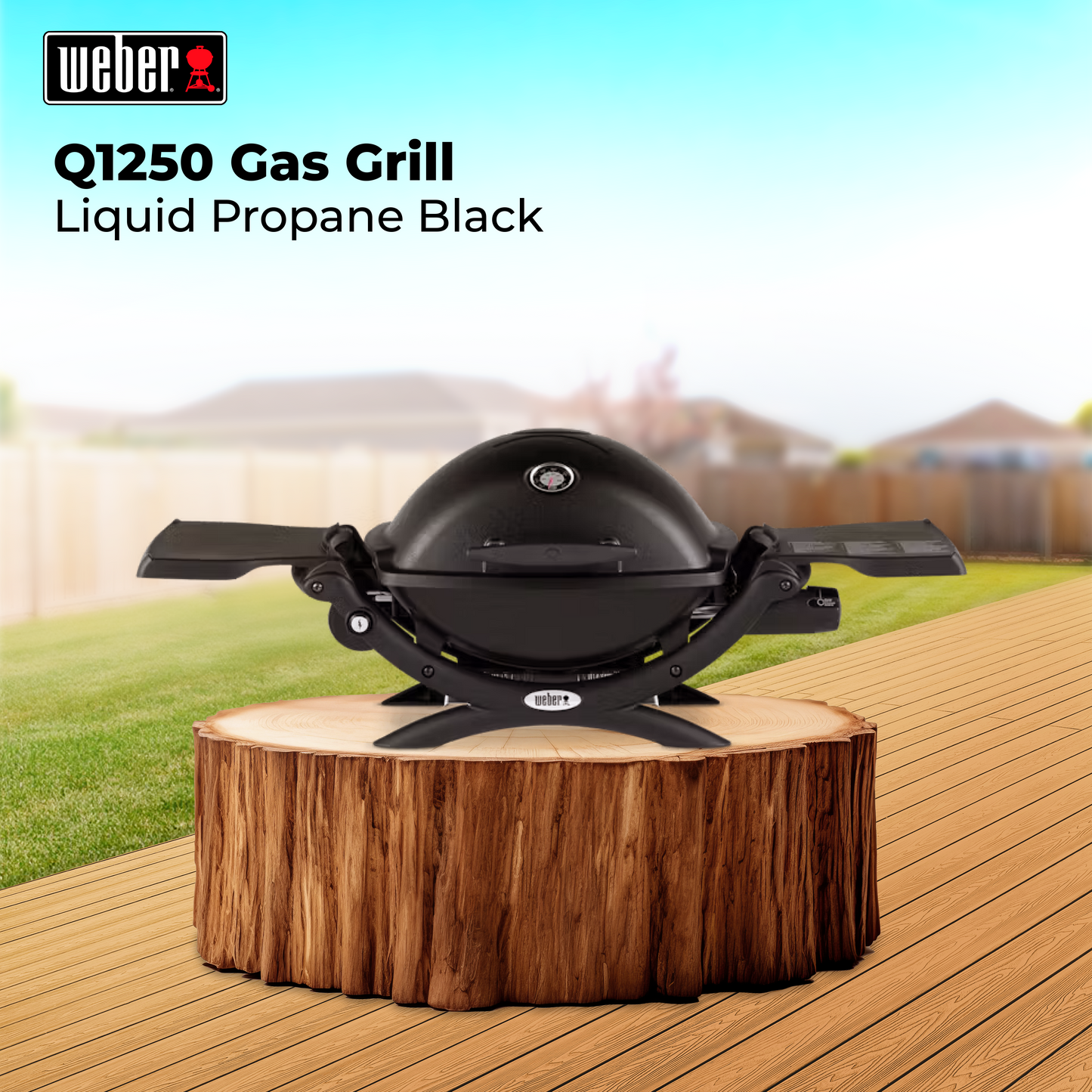 Weber Q1250 Gas Grill