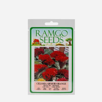 Ramgo Seeds - Orange Celosia Armor