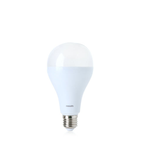 Philips LED Light Bulb 19W