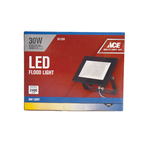 Ace LED Flood Light 30W DL IP65