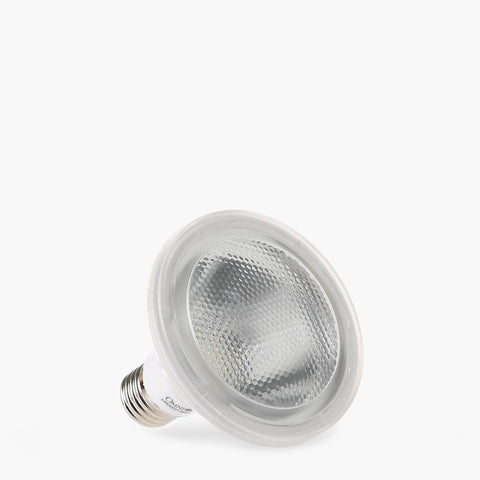 Omni LED Par Lamp 10W E27 Daylight