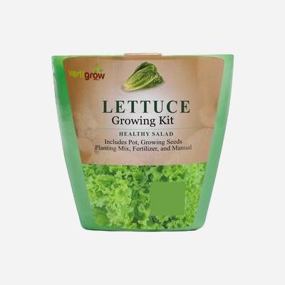 Vertigrow Growing Kit - Lettuce