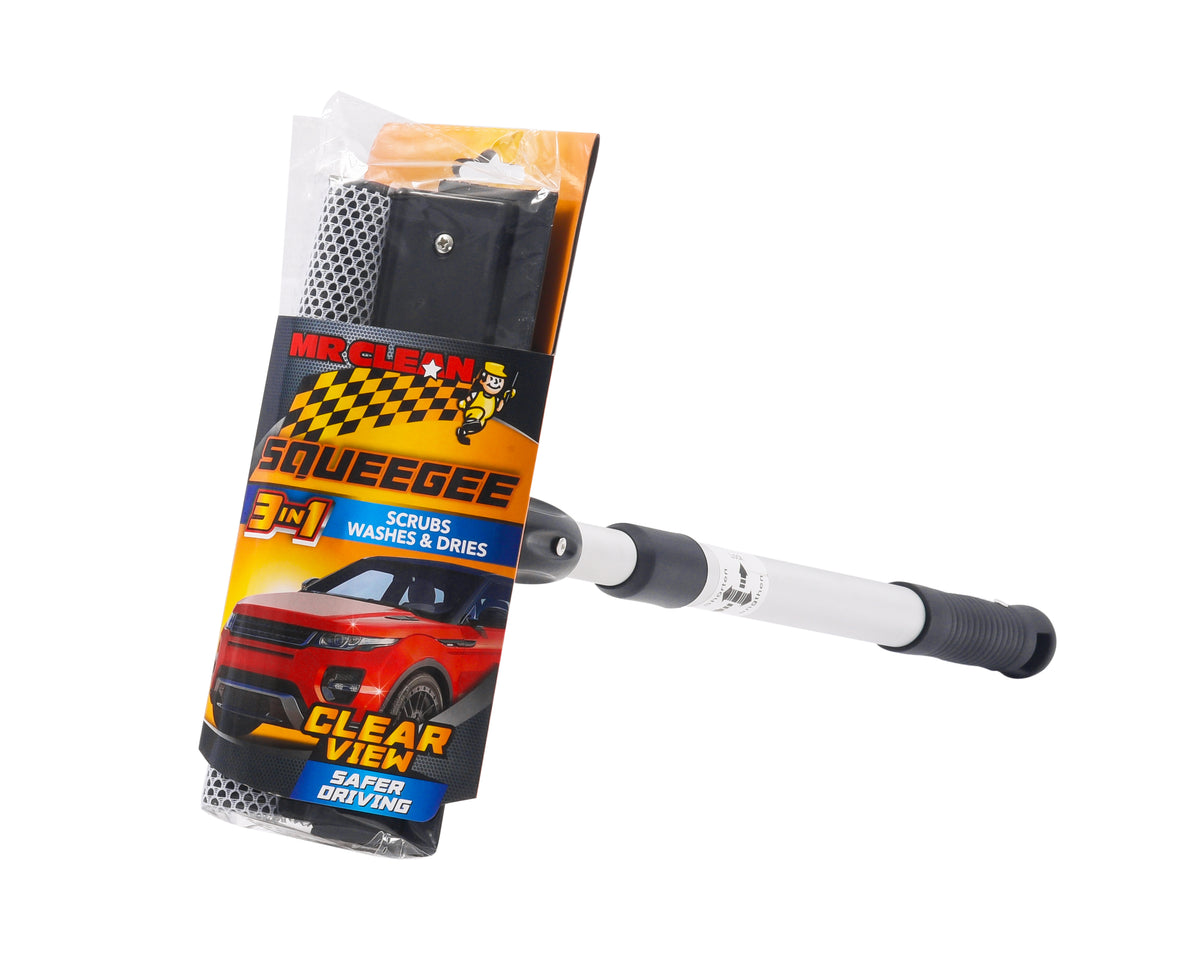Mr. Clean Window Squeegee – AHPI