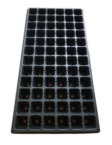 Ramgo 72 Holes Seedling Tray