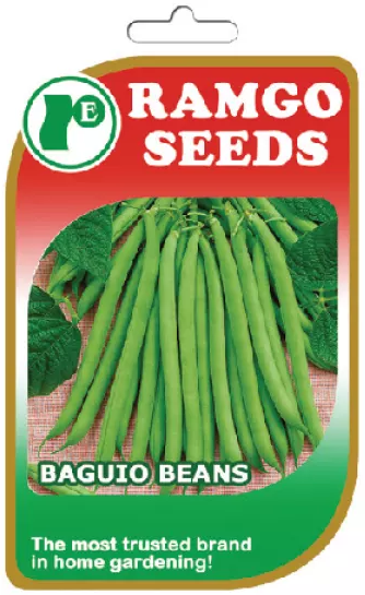 Ramgo Seeds - Baguio Beans