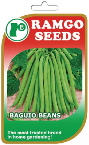 Ramgo Seeds - Baguio Beans
