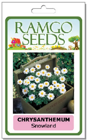 Ramgo Seeds - Chrysanthemum Snowland