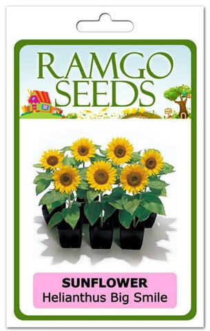 Ramgo Seeds - Sunflower Helianthus