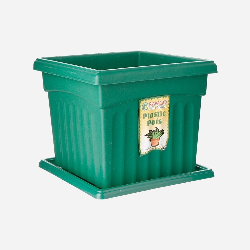 Ramgo Ionic Square Pot & Saucer Medium (Green)